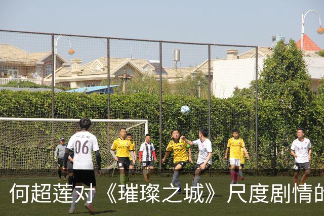 何超莲对《璀璨之城》尺度剧情的回应及其演艺发展观察