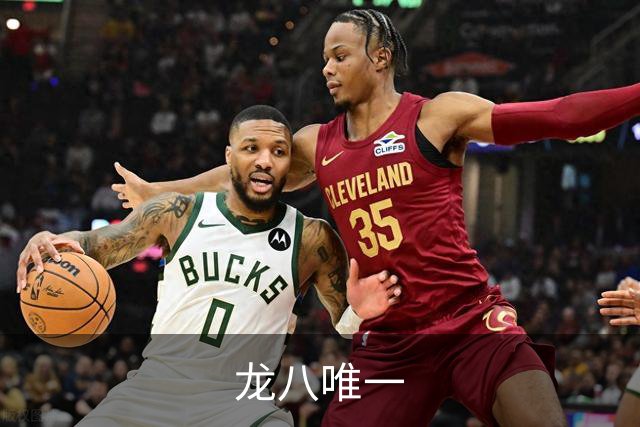 龙八唯一企业介绍图